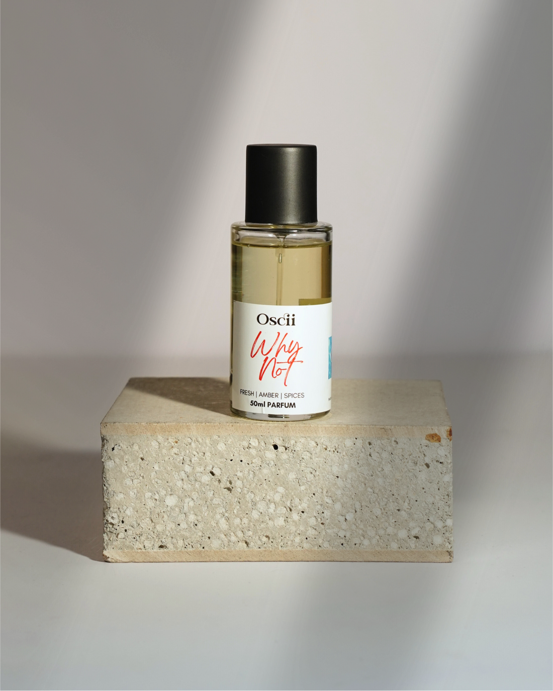 WHY NOT - inspired by Y*L Y